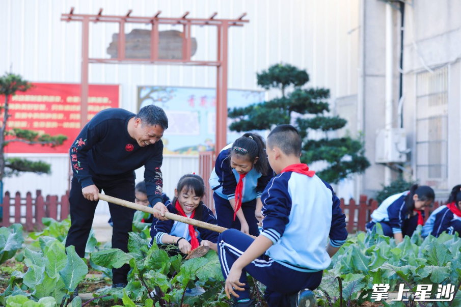 师生在“青葵园”除草，体会劳动乐趣。均为李杰 摄