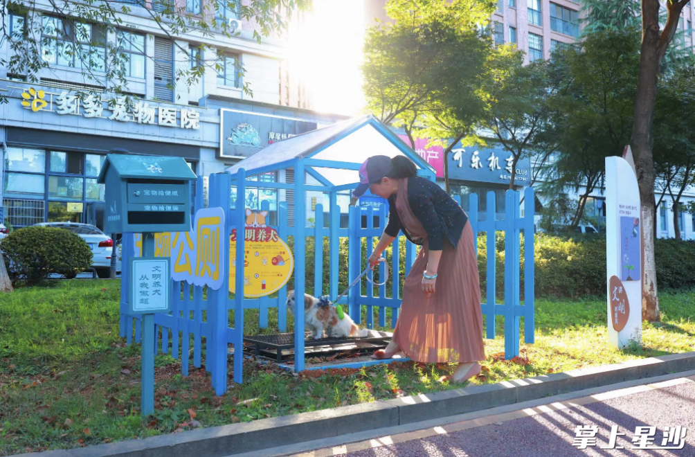 湘瑞社区“宠物公厕”目前已正式投入使用。图为辖区居民带着“毛孩子”在“宠物公厕”如厕。