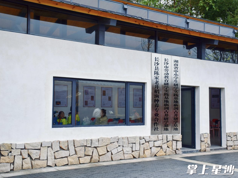 孩子们在稻渔文化广场研学教室内开展活动。均为袁思缘 摄