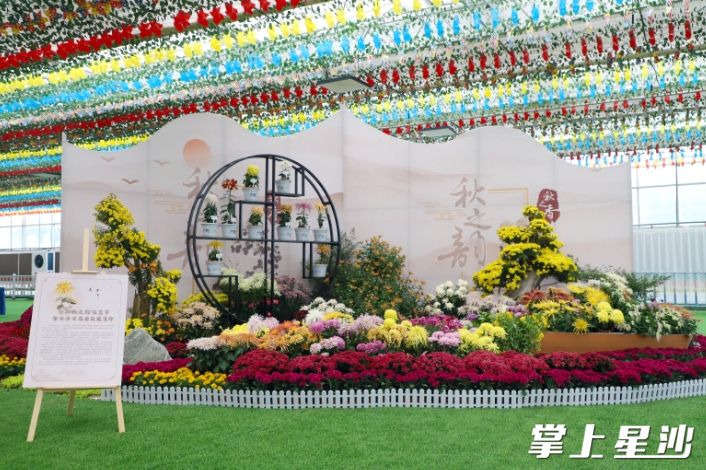 安沙镇“秋之韵”花艺节现场。阮霖浩 摄 安沙镇“秋之韵”花艺节现场。阮霖浩 摄