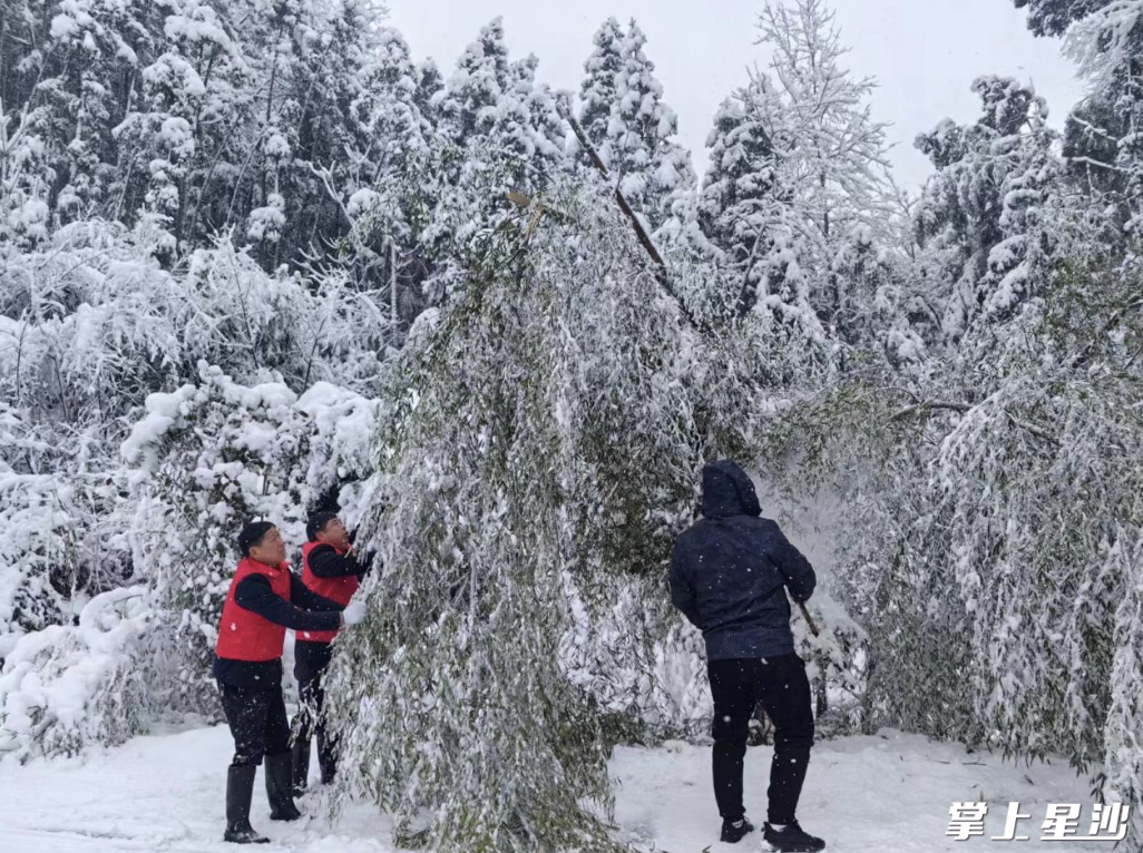 金江新村、杨泗庙社区和田汉社区发动“三长”迅速行动，清除路面倒塌的树枝，并对路面的积雪进行铲除，保障居民交通出行安全。