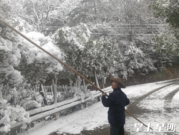 七旬老党员张作舟不畏严寒，拿起长竹竿清理树枝上的积雪。