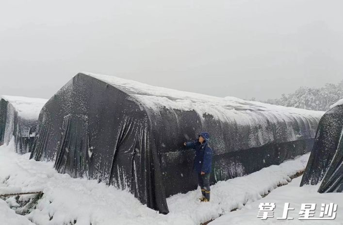 应急管理办工作人员现场勘察积雪情况。均为黄兴镇供图