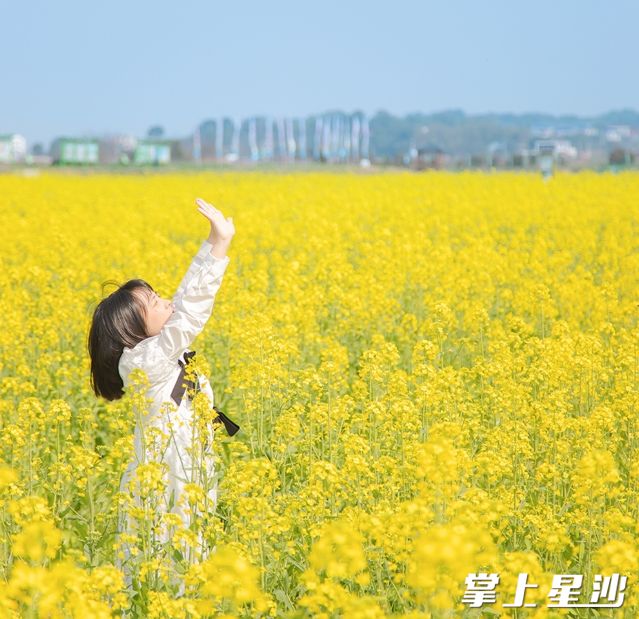 江背镇的五福村金银坝油菜花田绝对值得一游，近20000亩的油菜花田如同金色的海洋。