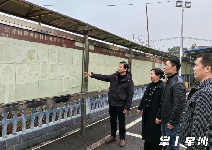 镇纪委带队,多村联合监督。图为现场查看村务公开信息。江背镇供图