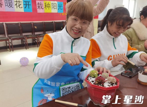 多肉DIY种植活动现场。泉塘街道供图