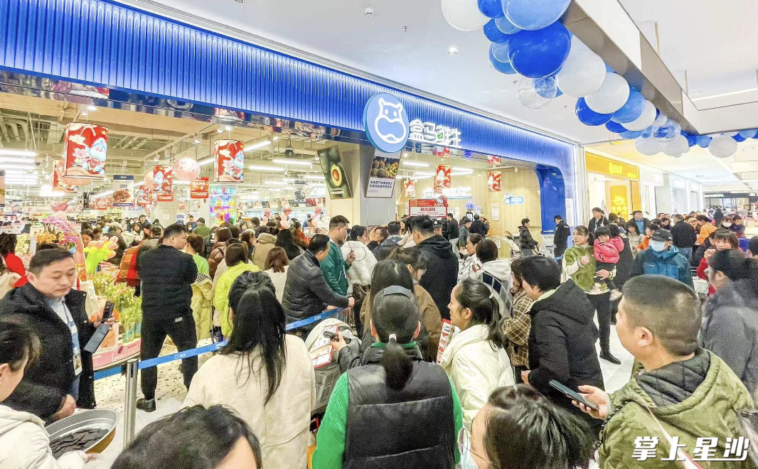 长沙县迎来首家盒马鲜生店，开业当天门庭若市，居民采购热情高涨。均为项目方供图