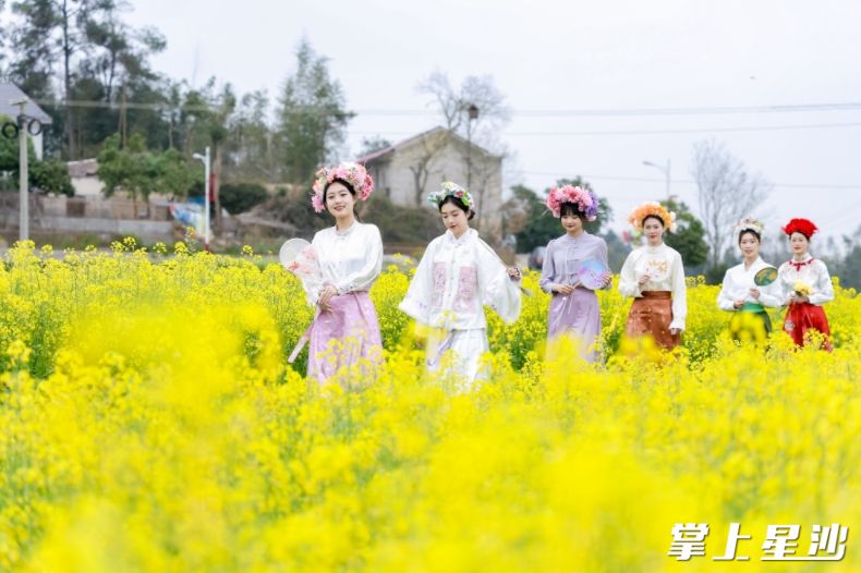 花公主游福临、春日雅集、乡村漫步打卡等丰富多彩的趣味活动，吸引众多市民和游客互动体验。