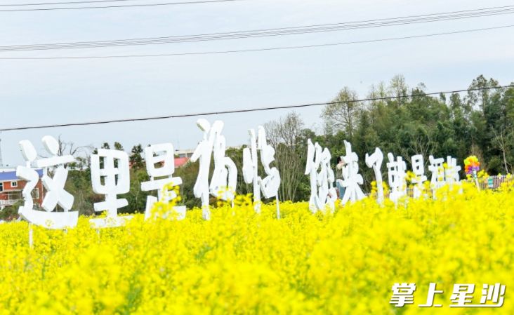 图为活动现场。