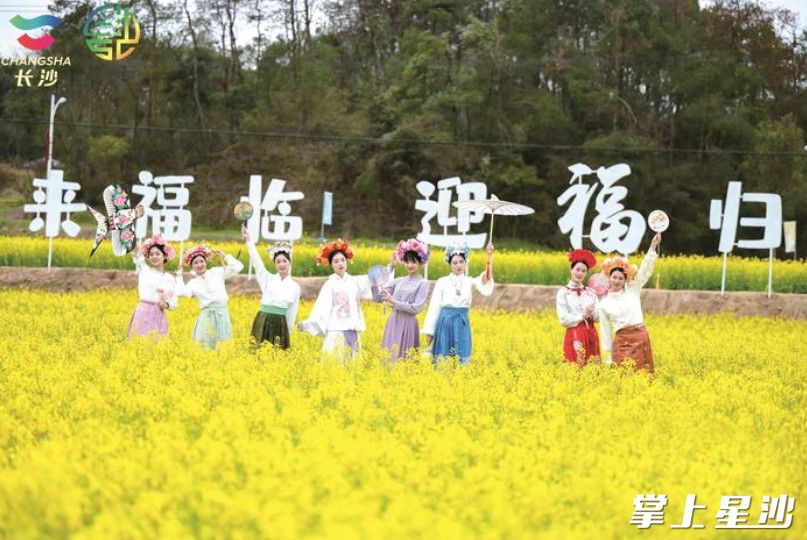 春天，长沙县多地油菜花绽放，吸引了大量游客前往打卡。均为县文旅局供图
