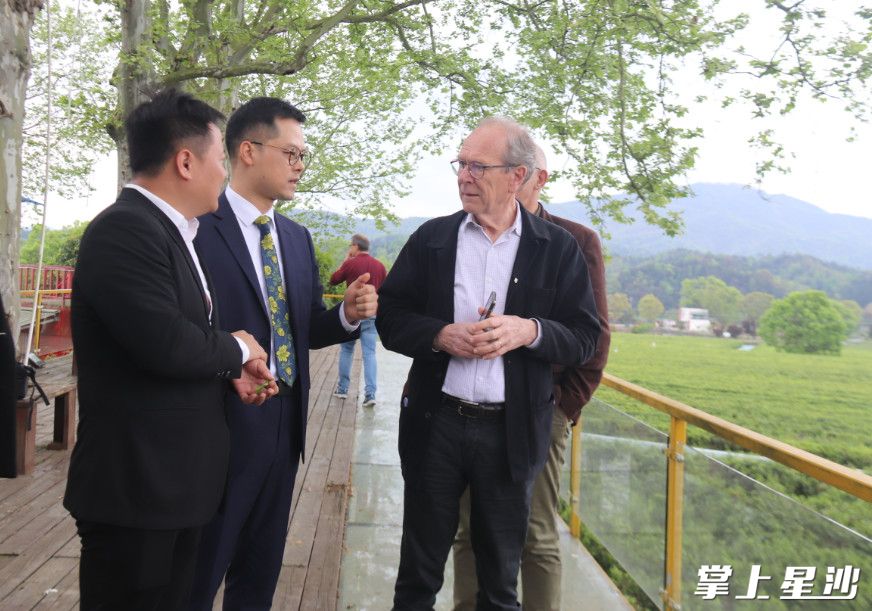 考察团在高桥镇十亩之间多肉民宿参观。