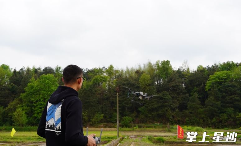 图为农机手操纵大疆农用无人机展示水稻飞防技术。邬振 摄