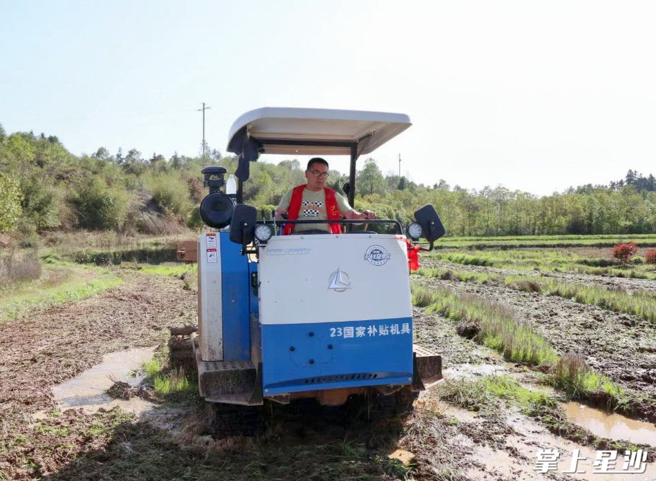 黄兴镇农技人员使用旋耕机进行耕地。