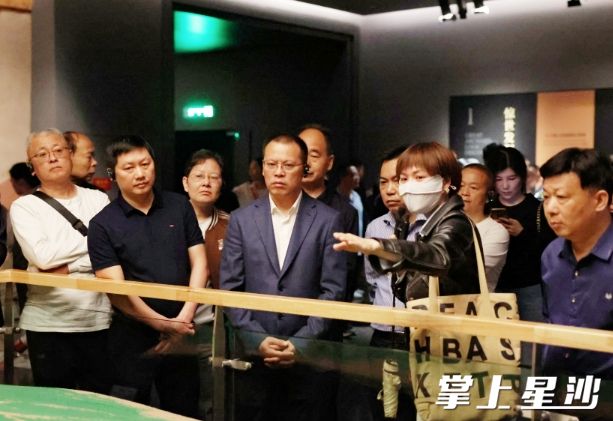 图为长沙县政协机关党支部组织全体党员在湖南省博物院展厅参观。盛磊 摄