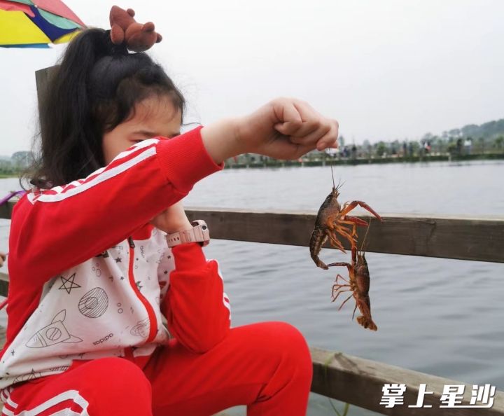 银洁女士带孩子一起钓虾。均为县文旅局供图
