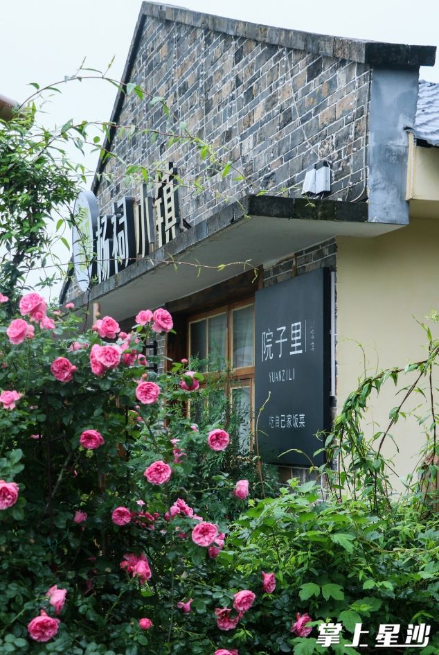 杨祠宴客山居，蔷薇花开正艳。