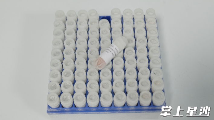 图为出口德国的猫肝微粒体。李丹 摄 图为出口德国的猫肝微粒体。李丹 摄