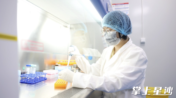 瑞德的工作人员为出口德国的猫肝微粒体的做准备。盛磊 摄 瑞德的工作人员为出口德国的猫肝微粒体的做准备。盛磊 摄