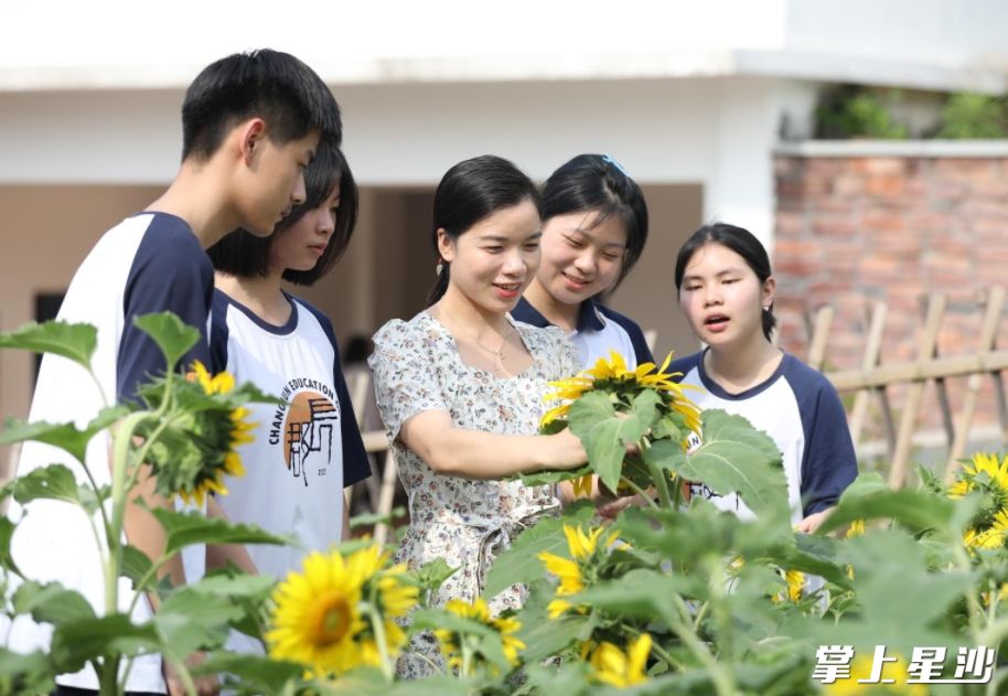 劳动课上，老师带着学生一起认识向日葵的生长习性。