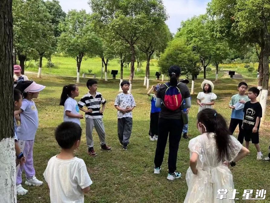 松雅湖湿地自然学校的学生参与“爱绿护绿”课堂。