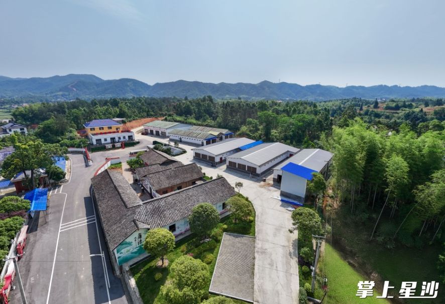 开慧镇锡福科技小院鸟瞰图。章帝 摄