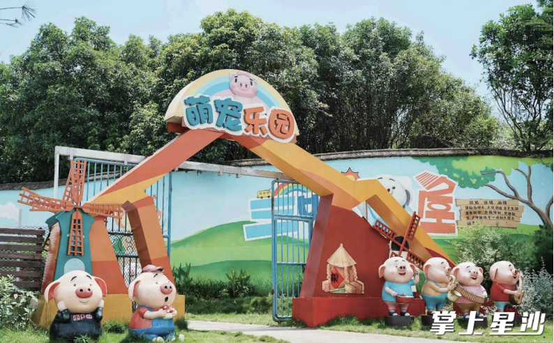 研学基地的萌宠乐园。