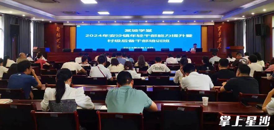 培训现场。安沙镇供图