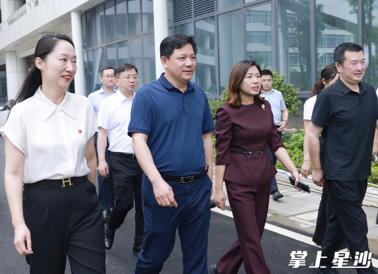 调研现场。董坤 摄