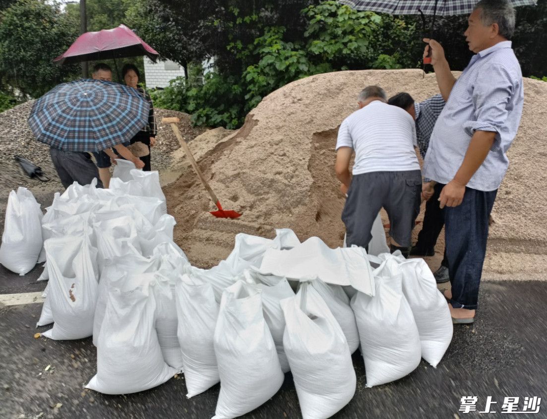 铲沙、装袋、捆绑、下水……党员干部分工合作进行填堵作业。均为安沙镇供图
