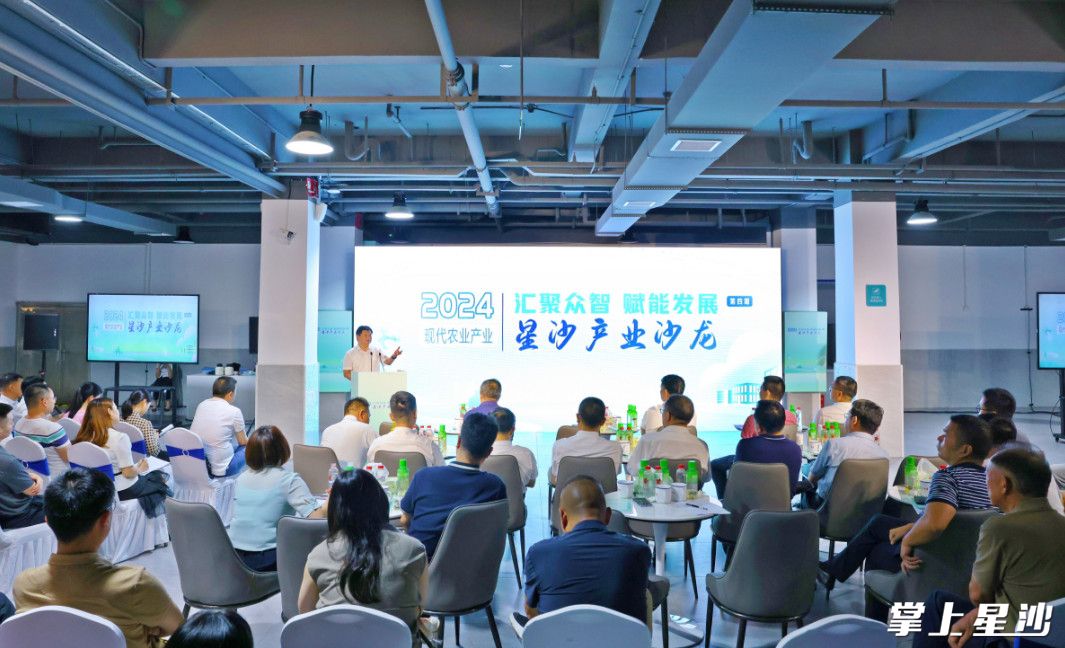 活动现场。均为曾诗怡 摄