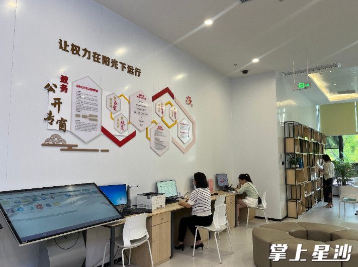 在政务公开专窗，市民正在浏览相关政策文件。均为长沙县大数据中心供图