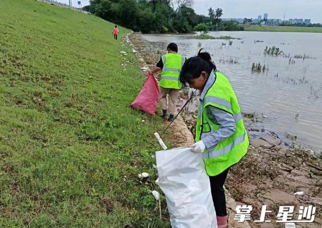 工作人员顶着烈日在河道沿线处理垃圾。县河长办供图