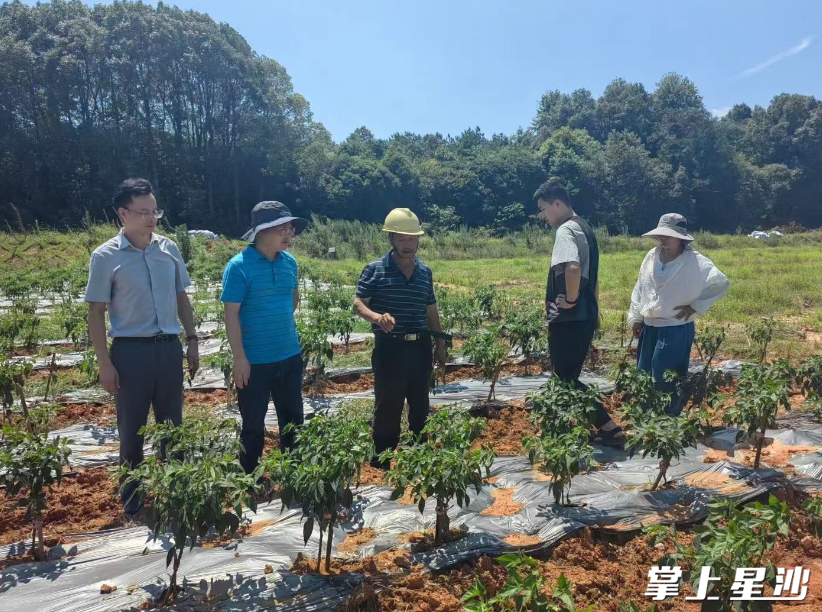专家指导现场。