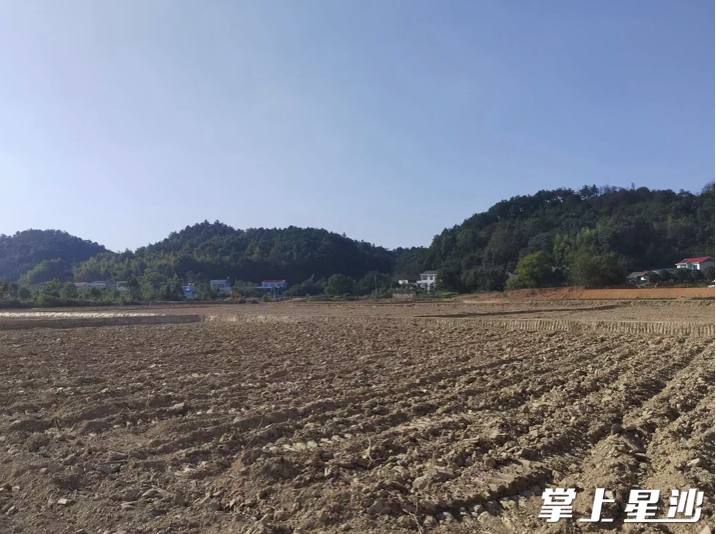 耕地已完成平整工作.县自然资源局供图