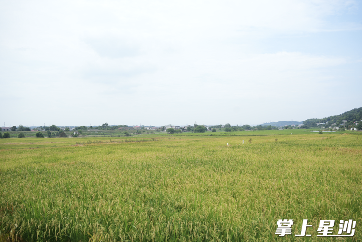 "良田"归粮田 "良策"守粮袋