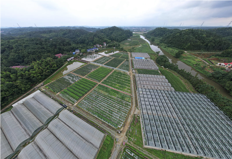 邹学校院士农业示范基地。人民网记者 刘宾 摄
