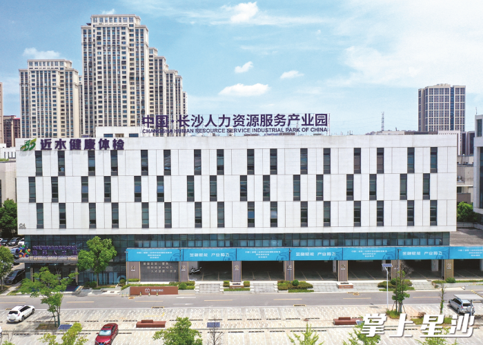 长沙经开区人力资源服务产业园。舒展 摄