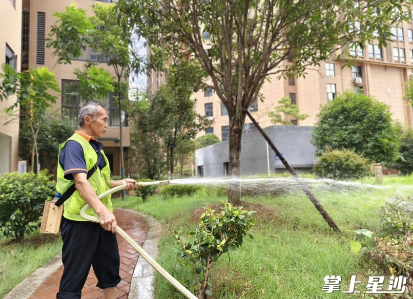 每天对绿化进行两次洒水。