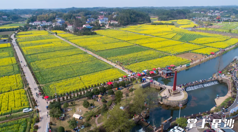 江背镇五福村。均为五福村供图