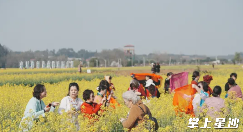 油菜花在扮靓乡村的同时，也孵化出了集赏花旅游、休闲娱乐、增收致富为一体的“花海经济”。