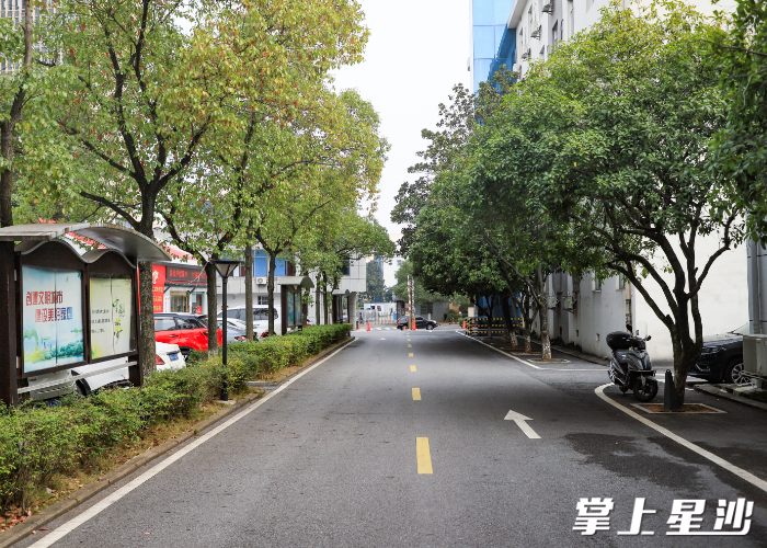 干净的柏油路既平整又不起尘。