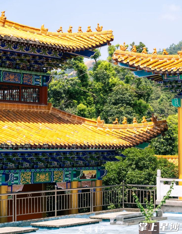 开元寺黄墙黛瓦、青石台柱，既显现出现庞大轩昂的宏伟气势，又别有一番禅意氤氲流转。