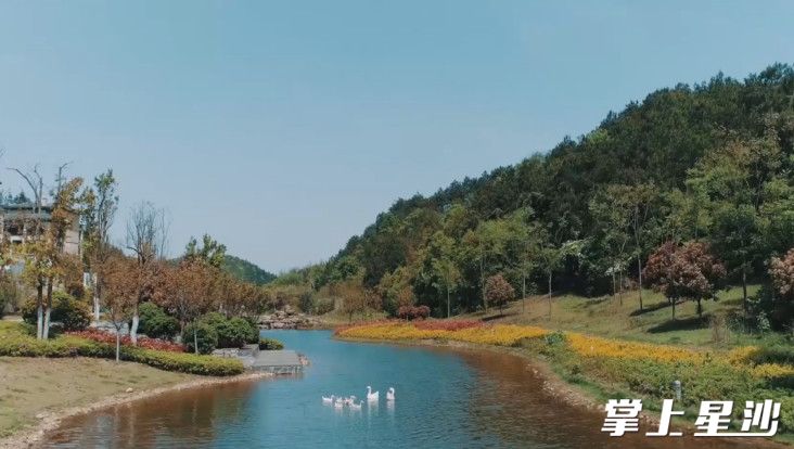 浔龙河村宜居宜业，成为人们近郊游的热门打卡地。