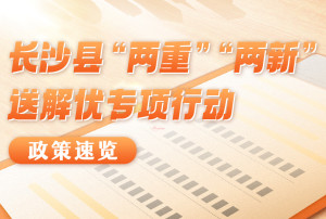 长图 | 长沙县“两重”“两新”送解优政策速览