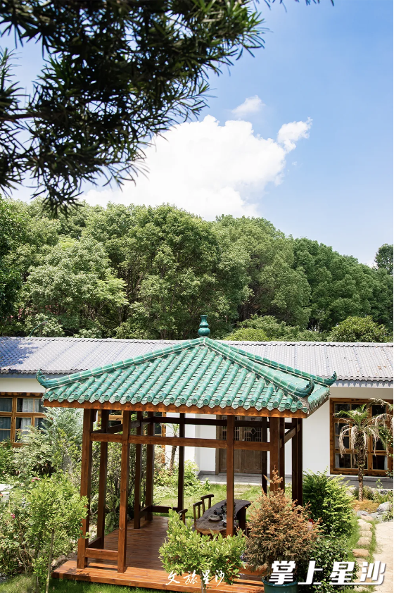 杨祠独立的院落适合年会、生日、求婚等多种聚会形式，还提供烧烤、垂钓等休闲项目，让游客在享受自然美景的同时，也能体验丰富的户外活动。