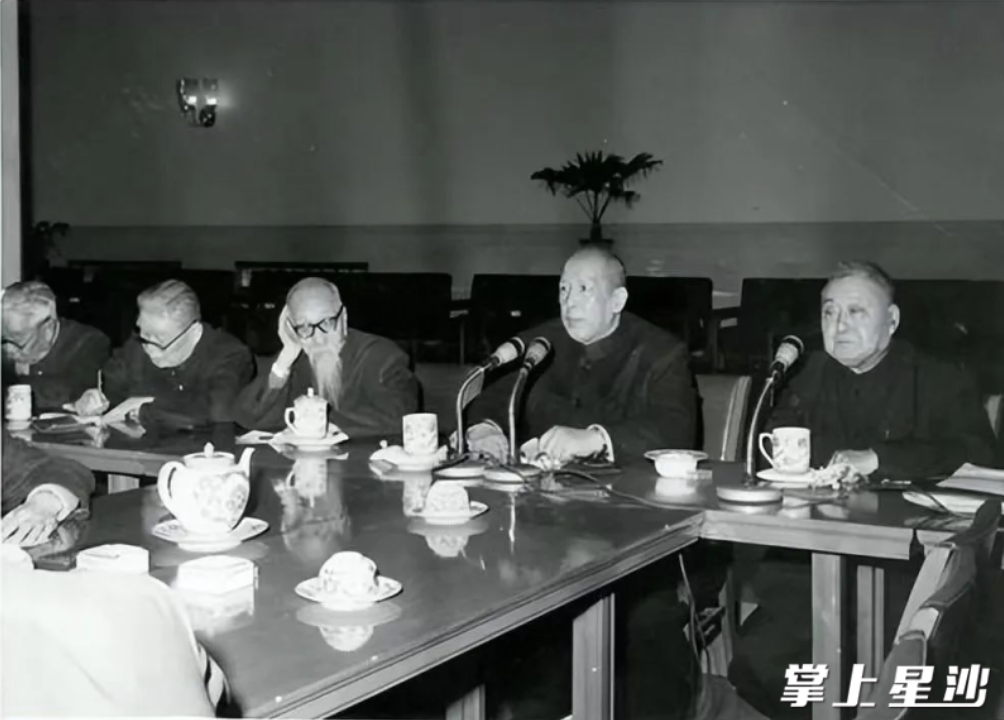 在会议上发言的李维汉。资料图片