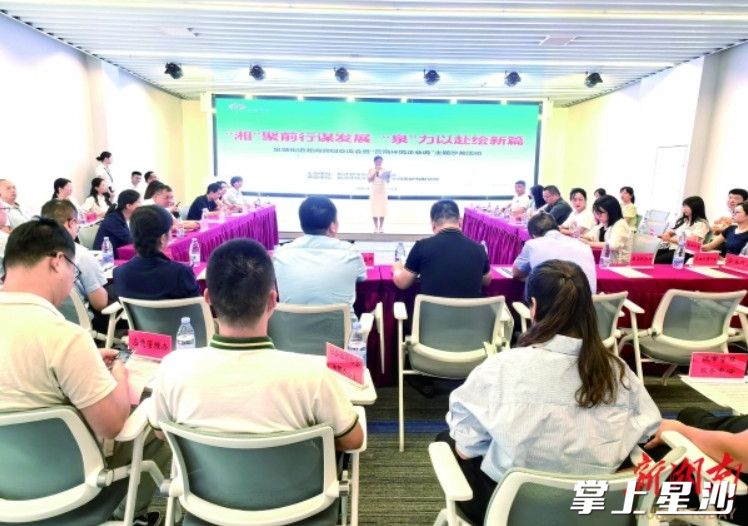 泉塘街道湘商回归交流会暨“营商环境企业说”主题沙龙活动现场。