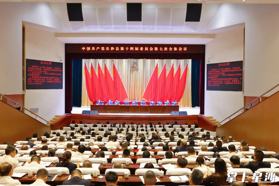 会议现场。曾诗怡 摄