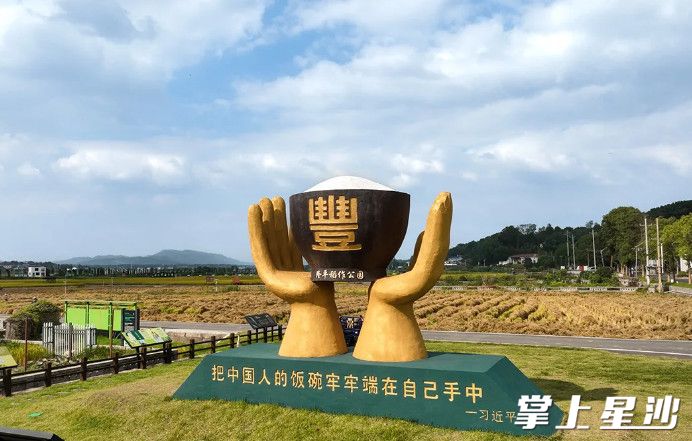 隆平稻作公园在路口镇明月村，周末可以带小朋友在这里进行收割体验，感受“粒粒皆辛苦”。