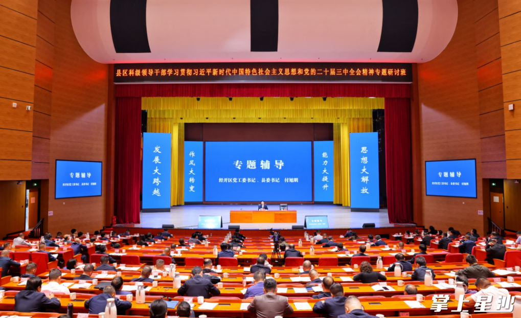 会议现场。均为曾诗怡 摄